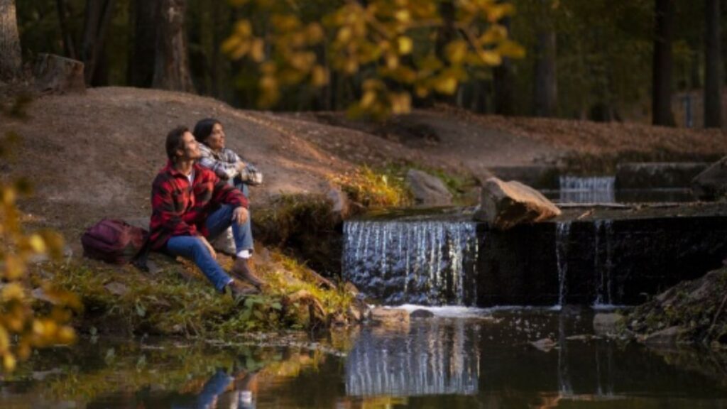 Nature in Nomurano: Discovering Scenic Spots and Outdoor Adventures