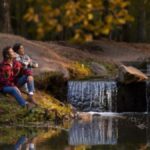 Nature in Nomurano: Discovering Scenic Spots and Outdoor Adventures