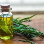 Top Rosemary Oil Suppliers for Pure & Natural Aromatics