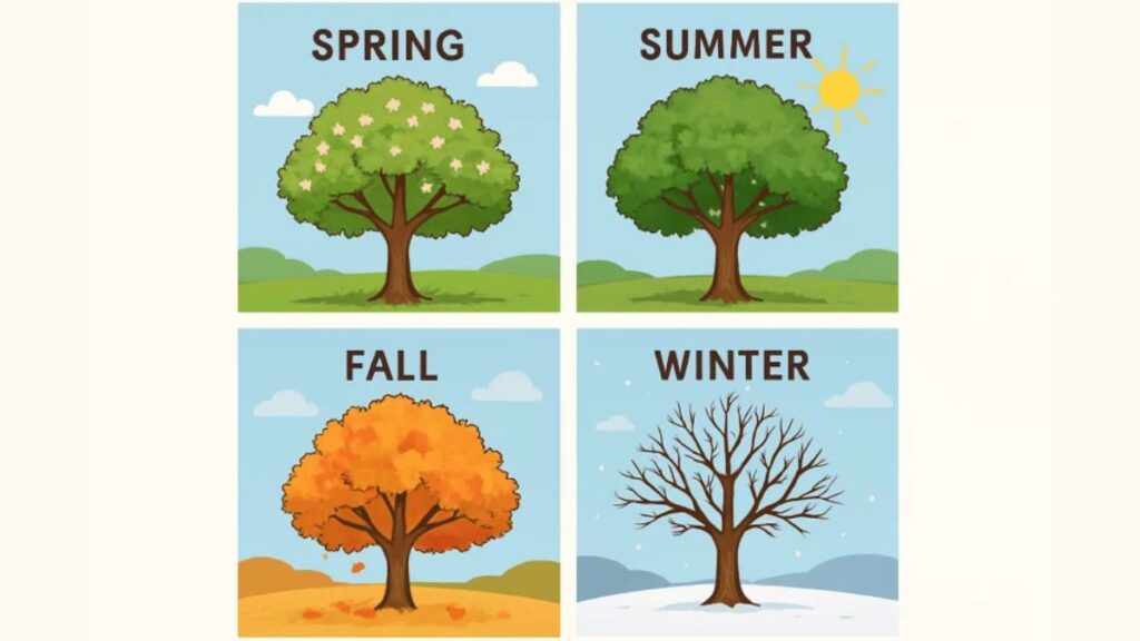 Tree Care