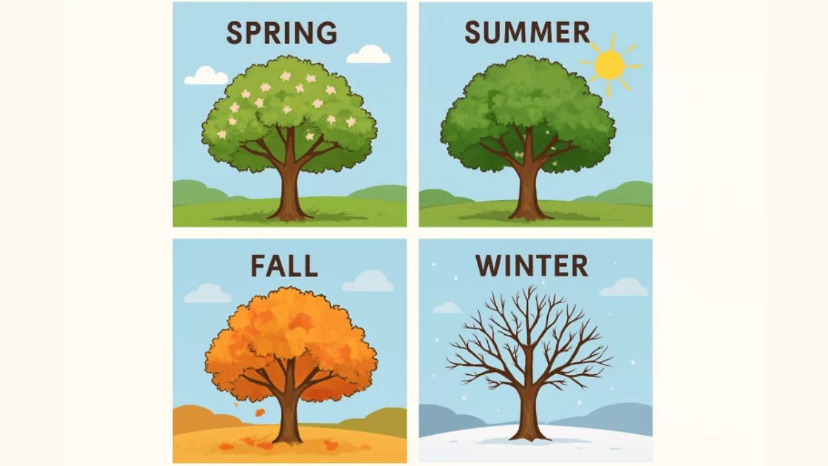 Seasonal Tree Care Tips for a Healthy Landscape