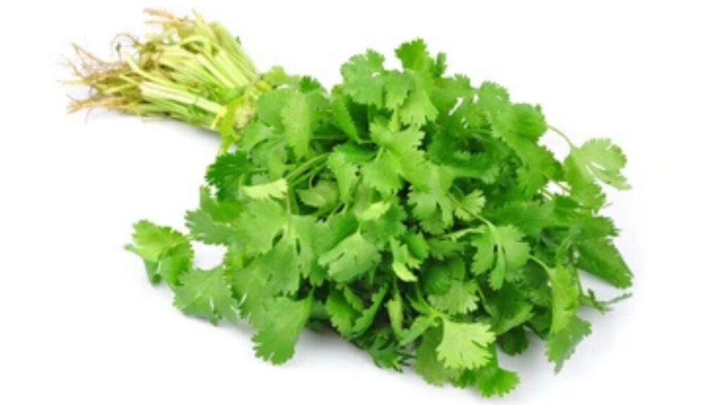 Koriandri vs. Parsley: Understanding the Differences and Similarities