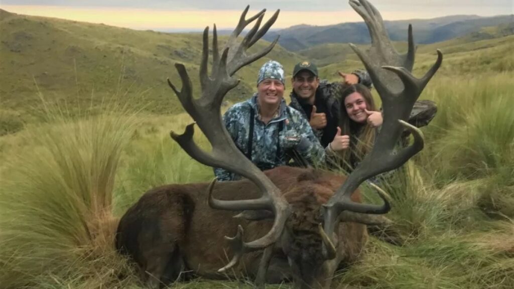 Red Stag Hunting: Tips for a Successful Expedition