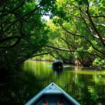 Exploring the Natural Beauty of Mopoga: Outdoor Adventures Await