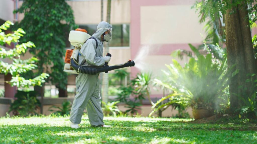 Pest Control