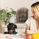 Pet5ardas com: Your Ultimate Guide to Pet Care and Wellness