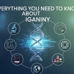 Everything You Need to Know About Iganiny
