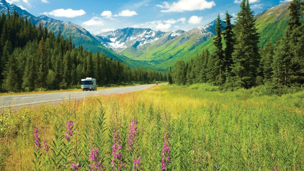 A Traveler’s Guide to Alaskan Seiti: Tips for Your Next Adventure