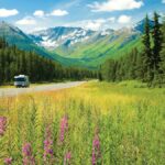 A Traveler’s Guide to Alaskan Seiti: Tips for Your Next Adventure
