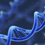 Unlocking the Secrets of Nukleotidy: The Building Blocks of Life