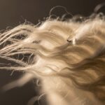 Pantagonar in Art and Literature: A Cultural Perspective