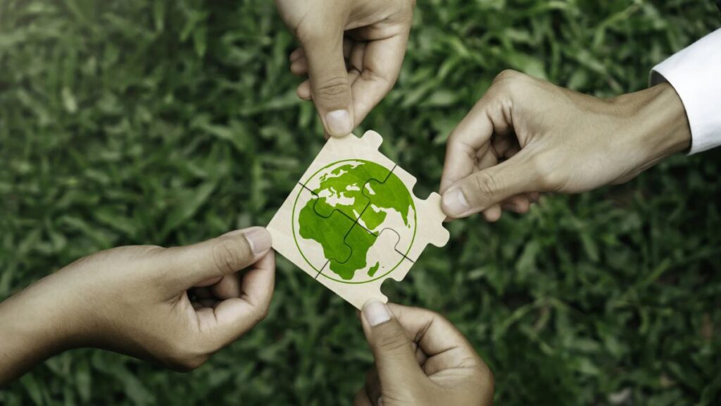 Sustainability Lessons from Nimedes: Practices That Still Matter Today