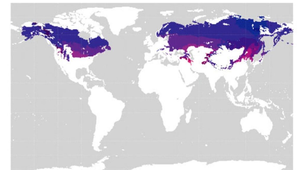 A Guide to Continental Mapping Sun Prairie: Understanding Our Local Geography