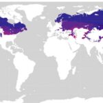 A Guide to Continental Mapping Sun Prairie: Understanding Our Local Geography