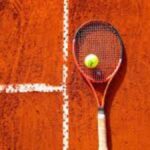 Cricfooty: The Ultimate Fusion of Cricket and Football