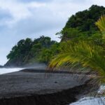 Why Primacoast.com is the Go-To Resource for Beach Enthusiasts