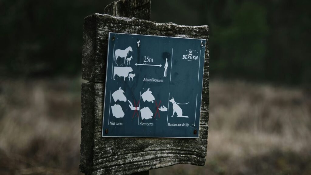 How Viltnemnda Influences Local Biodiversity and Ecosystem Health