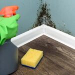 Preventing Mold After Water Damage: What You Need to Know
