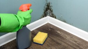 Preventing Mold
