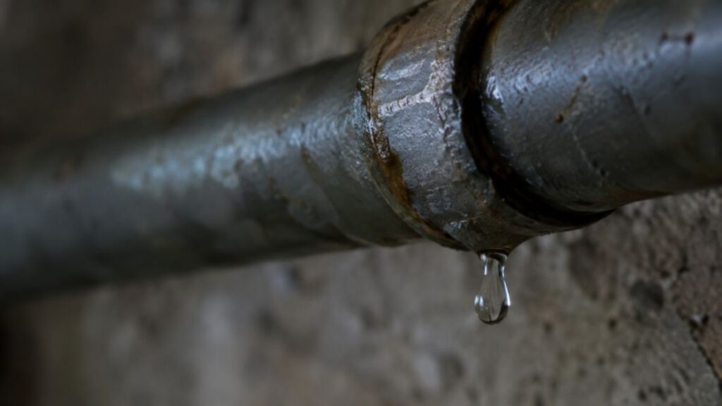 How To Keep a Basement Dry in Albany, New York: A Practical Moisture-Control Checklist